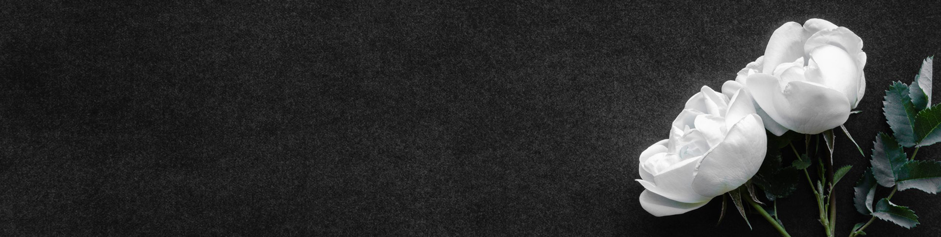 Servizi funebri per l'organizzazione di funerali